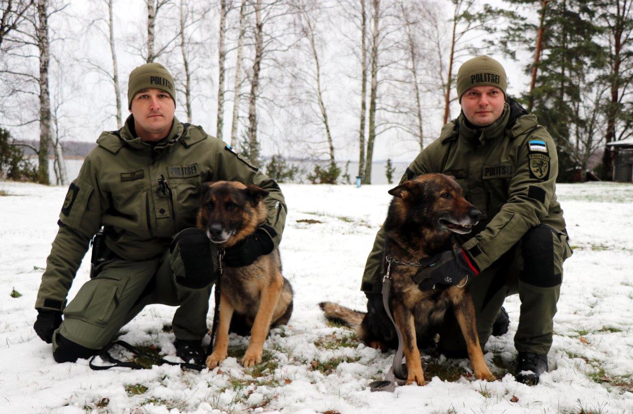 Ain, Fado, Rivo, Dika