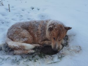 139905544_3767826319951730_7131459412175246818_o