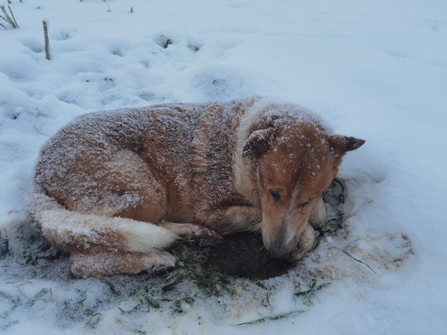 139905544_3767826319951730_7131459412175246818_o