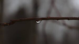 139944199_455240079181377_5739678061497572243_o