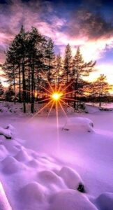 143772923_3489248021184028_7745453323867296756_n