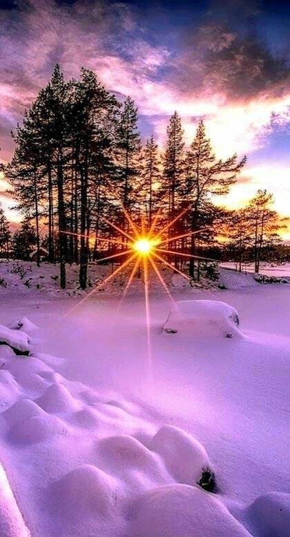 143772923_3489248021184028_7745453323867296756_n