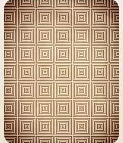 46460901_1177732139058981_8268907952950214656_n-480x560