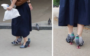 pigeon-shoes-japanese-woman-fb2-1000x525-1-850x525