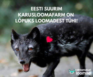 142655100_1350893811919206_152613935643647570_n