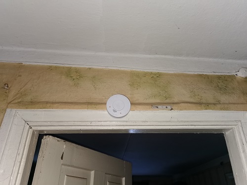 Pauastvere toidukõrbemine suitsuandur