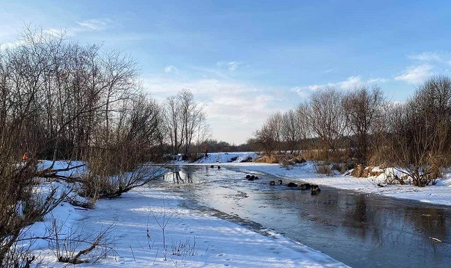 metsigade-paasteoperatsioon-monistes