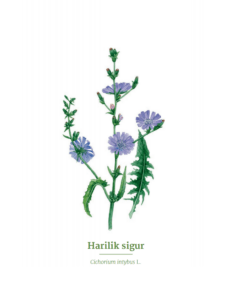 sigurAutor Helje Eelma