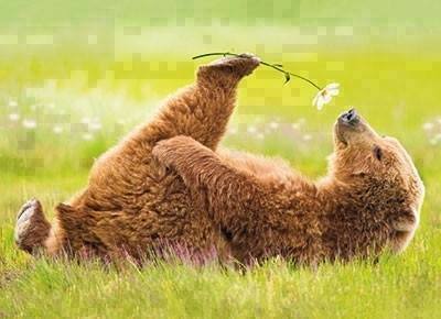 1234589_10204834820804984_4444563022102379625_n