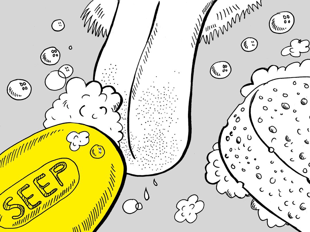 160144795_3704733269574589_5638285186874168957_o