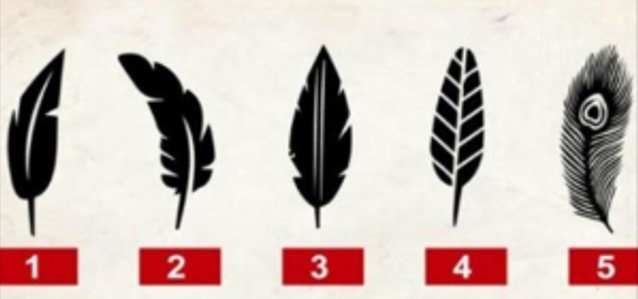 Vali üks sulg ja loe mis see sinu kohta ütleb. 3 sulg.jpg