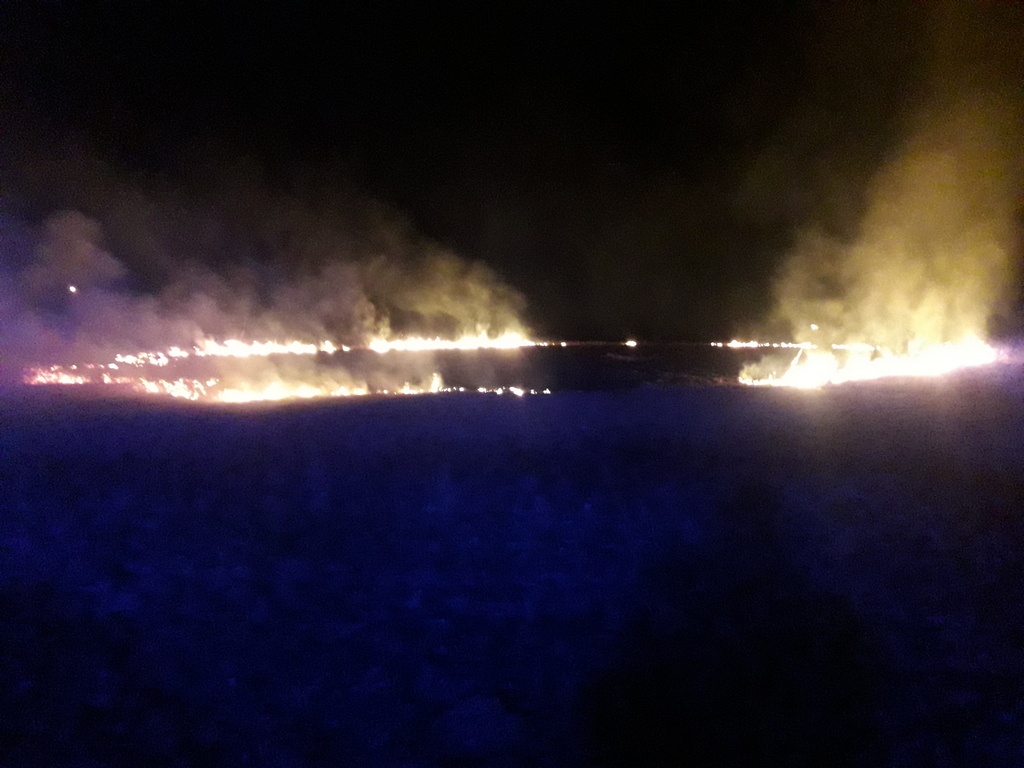 14.04 Elva Rämsi kulu