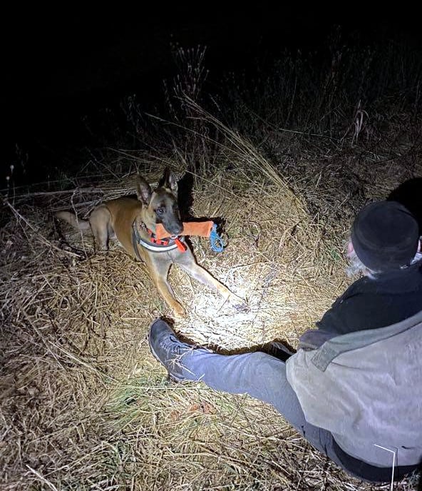 176098790_2445300248949176_6480819732314682190_n