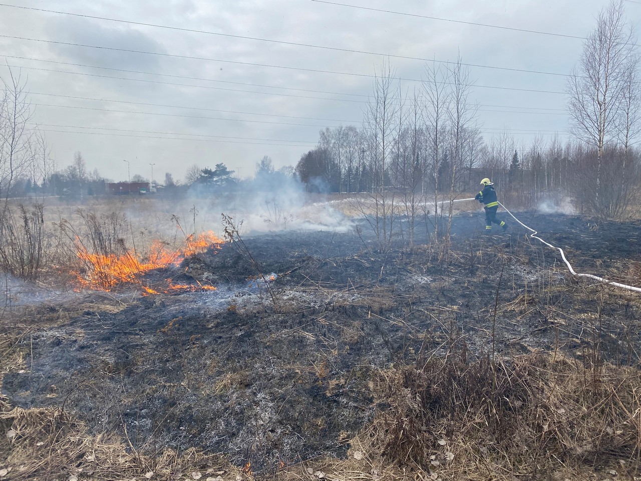 25.03 Valga Rükkeli kulu