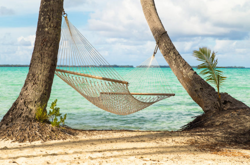 Vacations in paradise