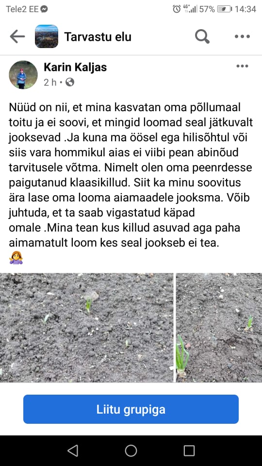 188697380 1109516562864835 3312659094198773410 n