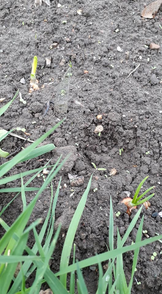 189276423 3894061420678835 1641877511161658134 n