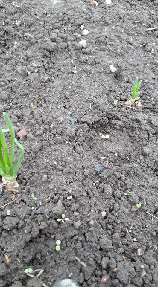 189762133 3894061264012184 4421358478197335217 n