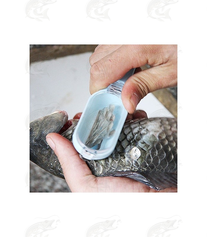 kala-soomuste-eemaldaja