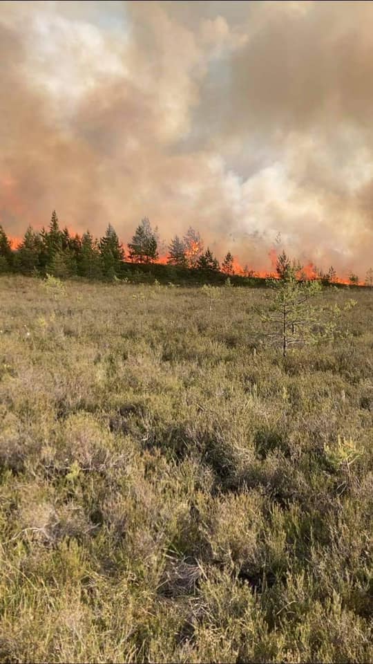 FOTOD: Äike süütas loomalauda ja rabametsa. 40 197419172 1223618268094768 3868559966301373768 n