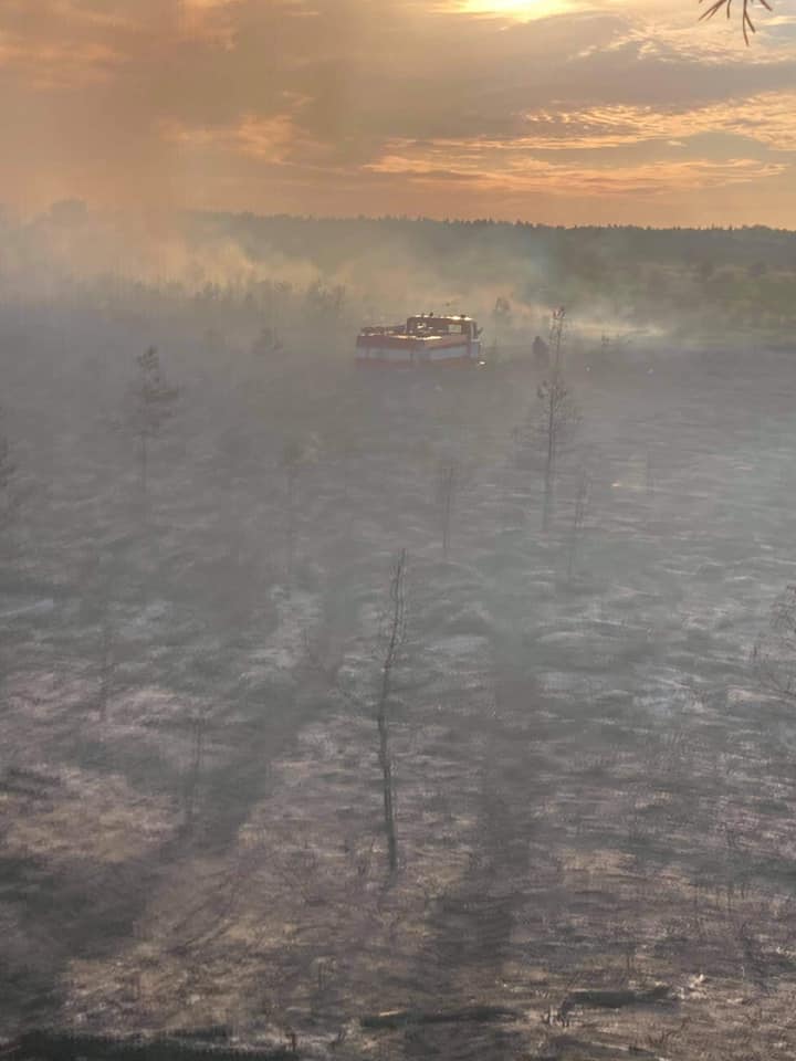 FOTOD: Äike süütas loomalauda ja rabametsa. 37 197584561 1223618564761405 613516744658688239 n