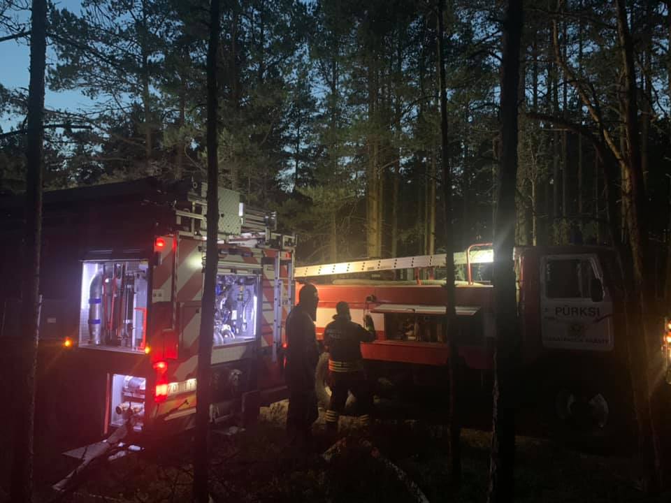 FOTOD: Äike süütas loomalauda ja rabametsa. 34 198725434 1223629398093655 7384013917989197130 n