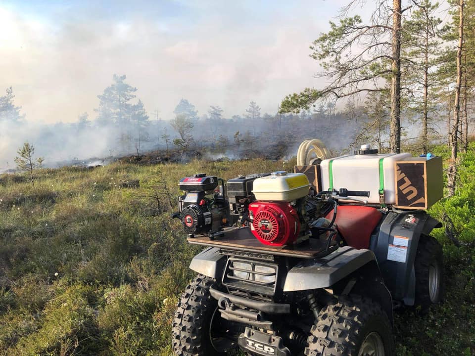 FOTOD: Äike süütas loomalauda ja rabametsa. 33 198764757 1223633778093217 3304787840752795302 n