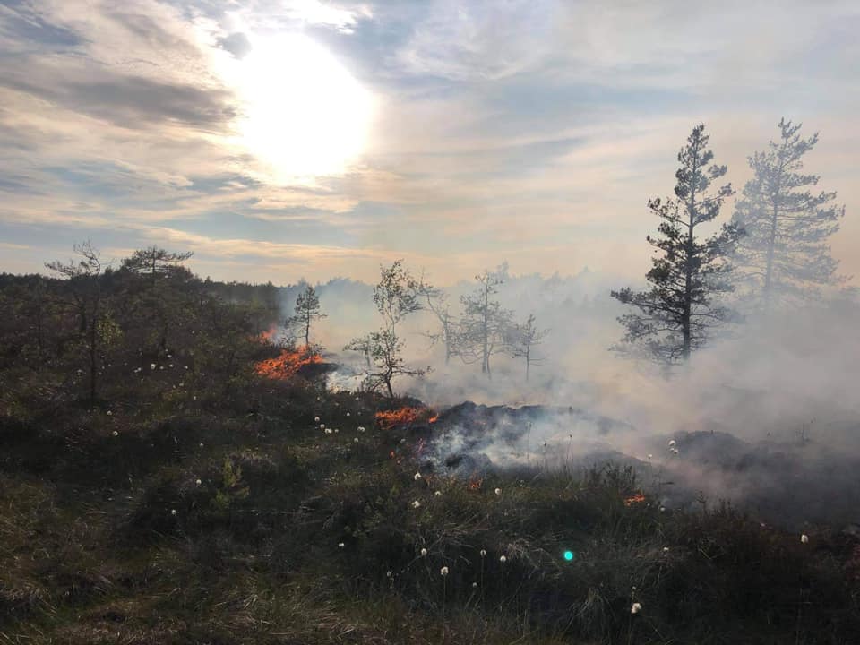 FOTOD: Äike süütas loomalauda ja rabametsa. 32 199306421 1223633868093208 5120139501300272322 n