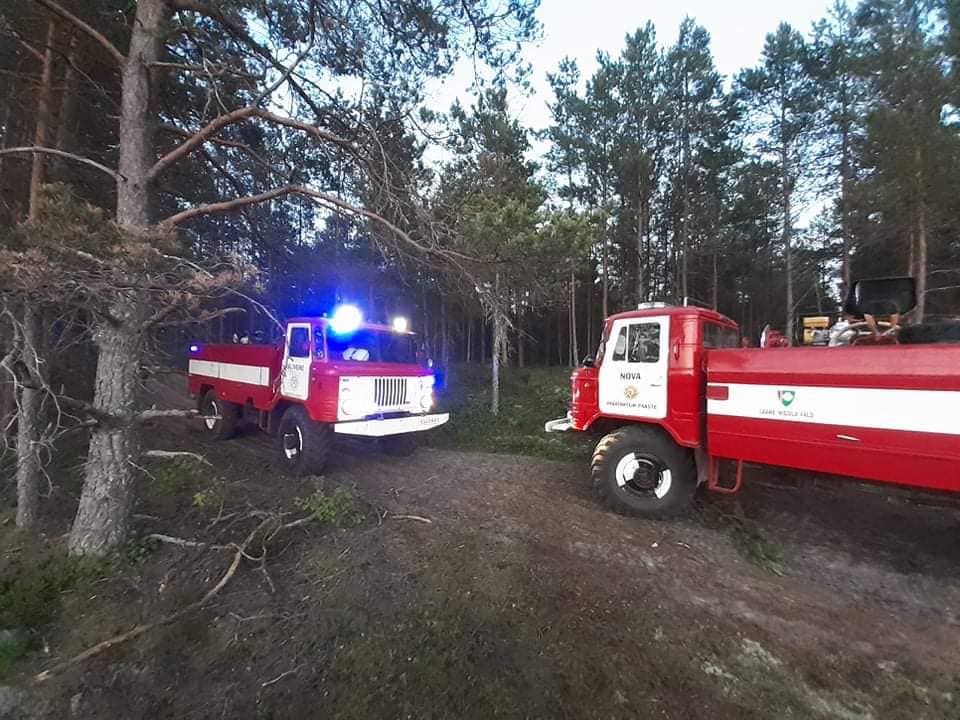 FOTOD: Äike süütas loomalauda ja rabametsa. 35 199480731 1223618538094741 4658016067596472907 n