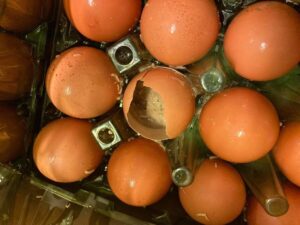 0816d60edb2696271d-94000837