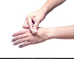 211990224_2999404010382732_8366539682202437094_n