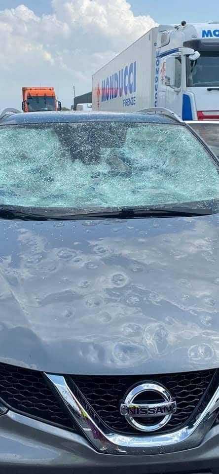 226554869 4137611716314535 108916264608883645 n