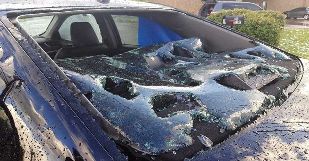 228349068 4137611909647849 3862783786709751145 n