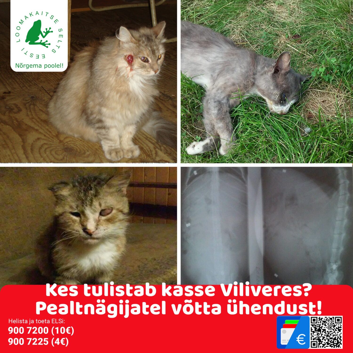 KOHUTAV: Kes tulistab Viliveres kasse? Hoiatus! Häirivad fotod. 14 238669645 3937690963003082 3420750869247901627 n scaled