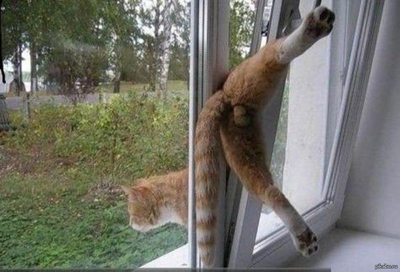 1370955670_38738039 (1)