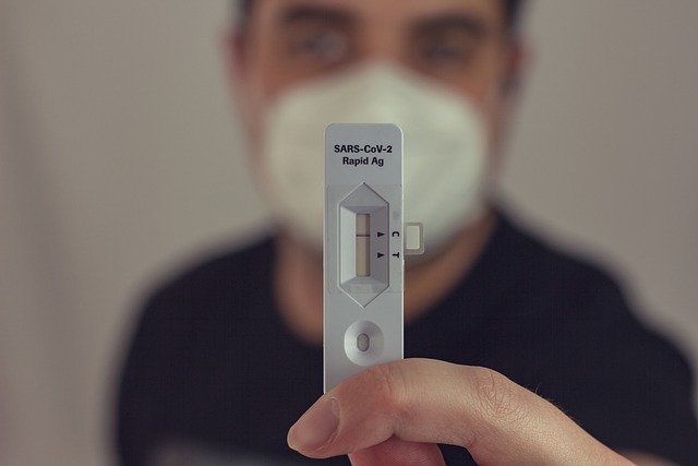 corona-g4dce9cbd5_640