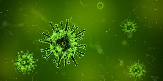 virus-gbdb737d0b_640