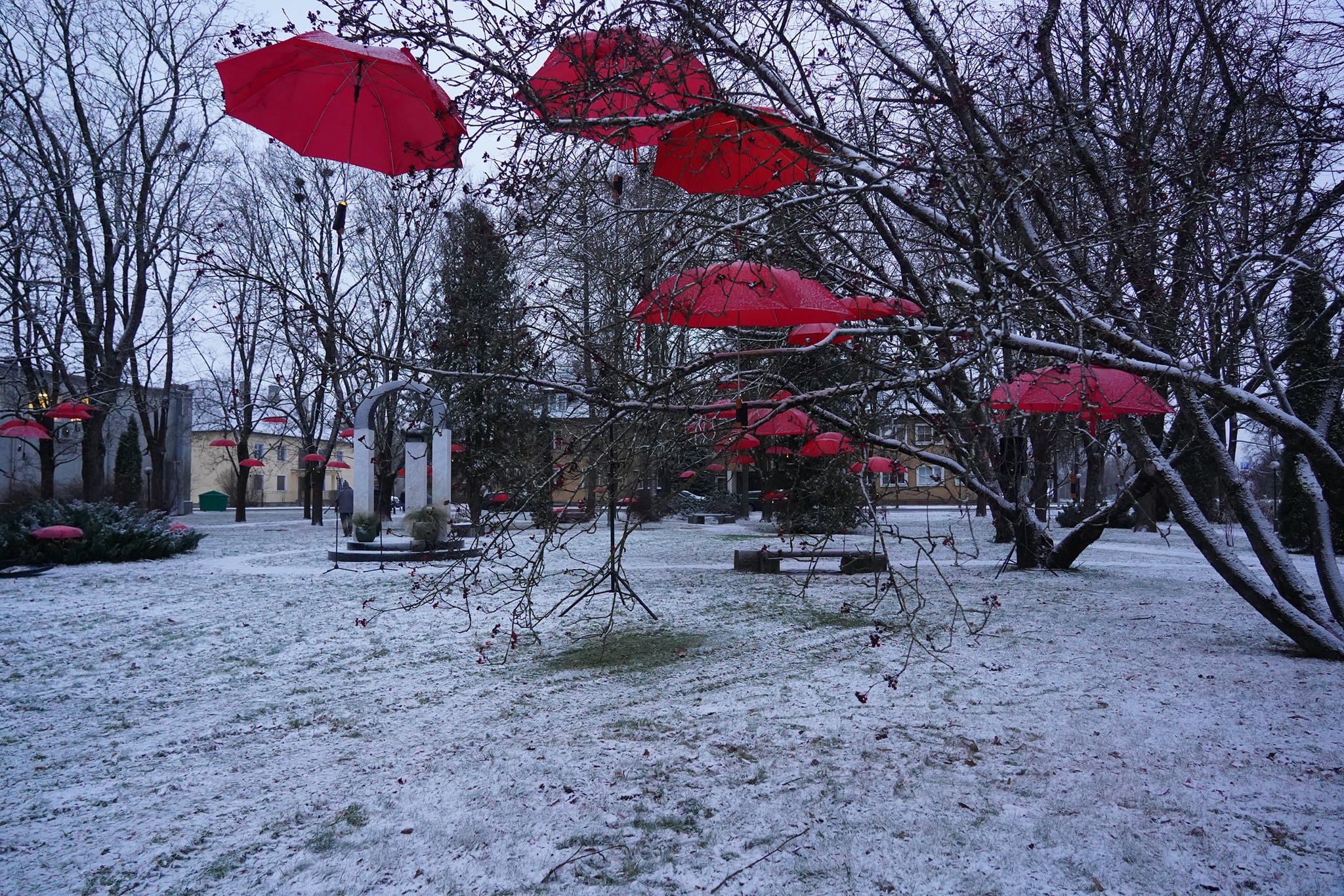 259497960_10159529767027970_8636244334216786513_n