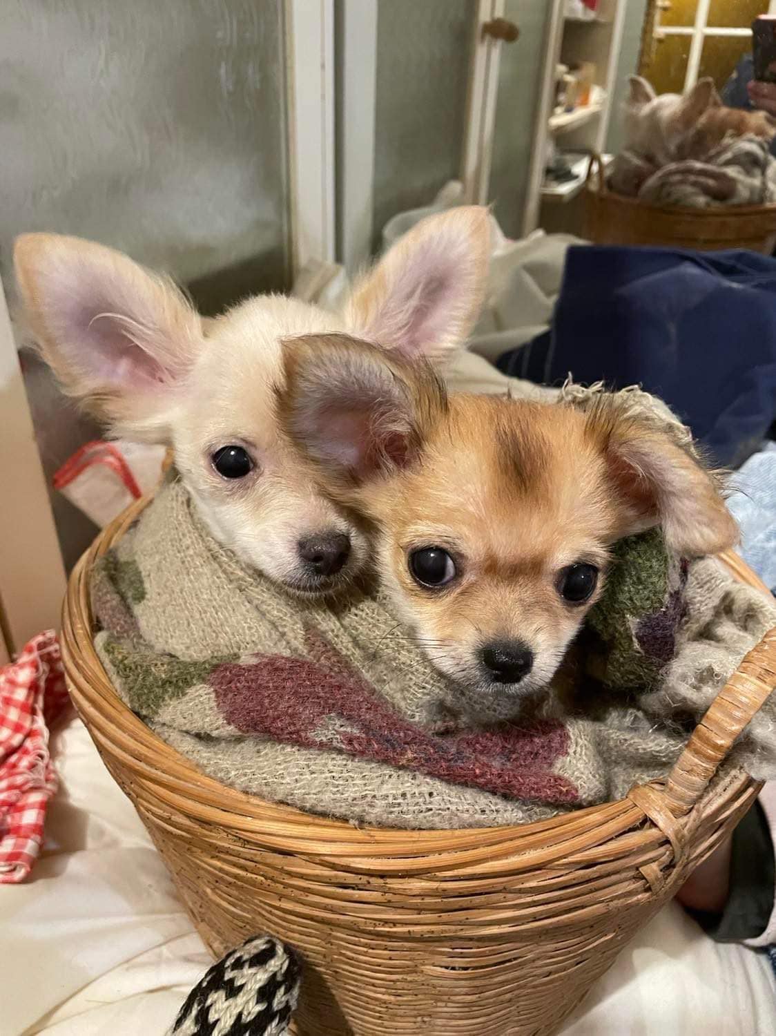 262852575_3051596445159657_6649600974380637441_n