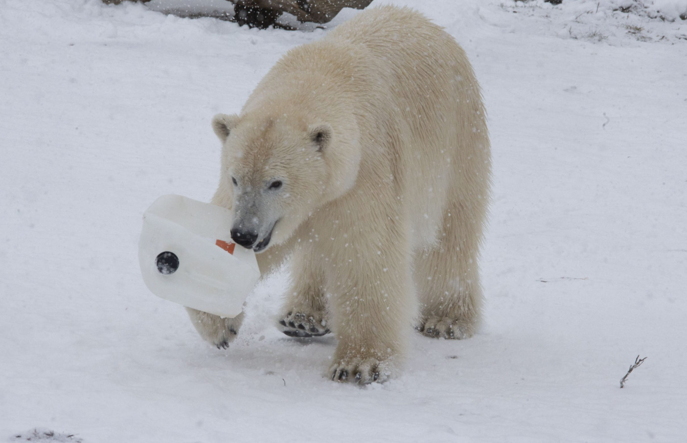 Screenshot 2021-12-10 at 18.19.04