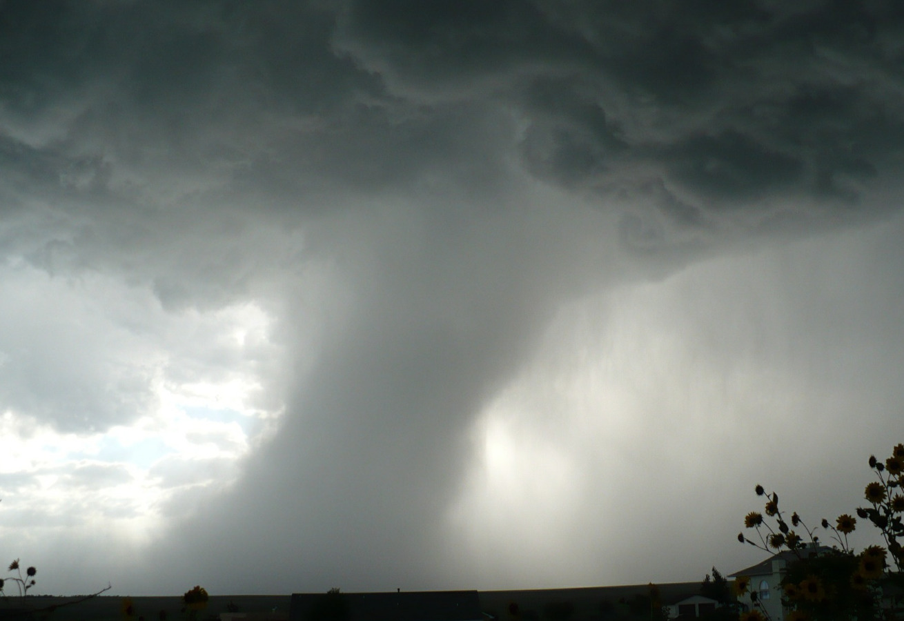 Screenshot 2021-12-11 at 15.27.33