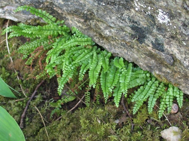 271490836 4610262219096425 6761571283544509289 n