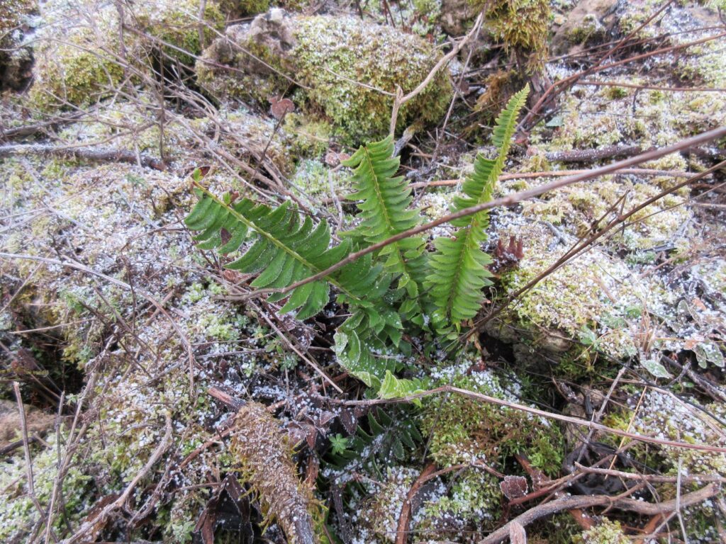 271540906 4610262322429748 8320800829558438159 n