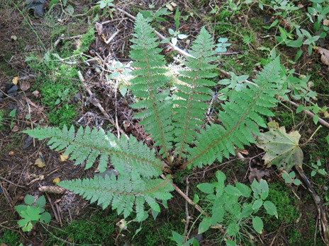 271565556 4610262272429753 3510557900287210806 n