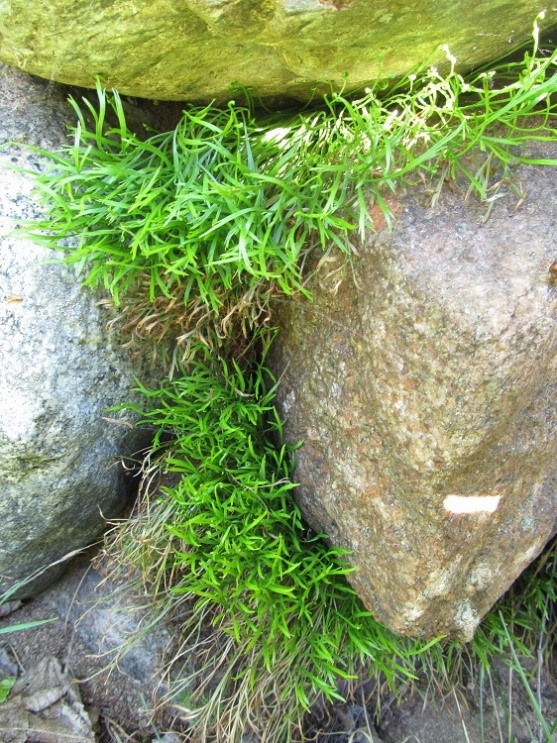 271598667 4610262215763092 6290923287544855833 n