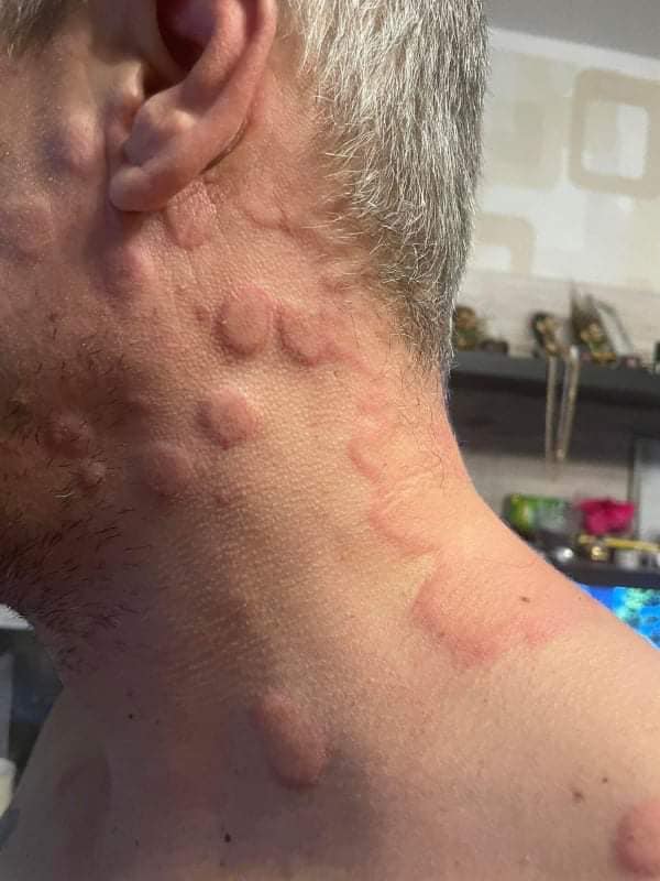 272134229_10215896825051883_50471696508178000_n