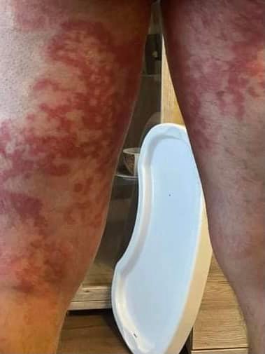 272156396 10215896824411867 8043977357595058097 n