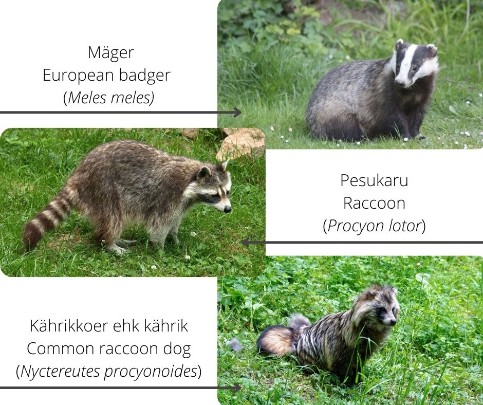 272196995 262429892663151 5833135697527423933 n