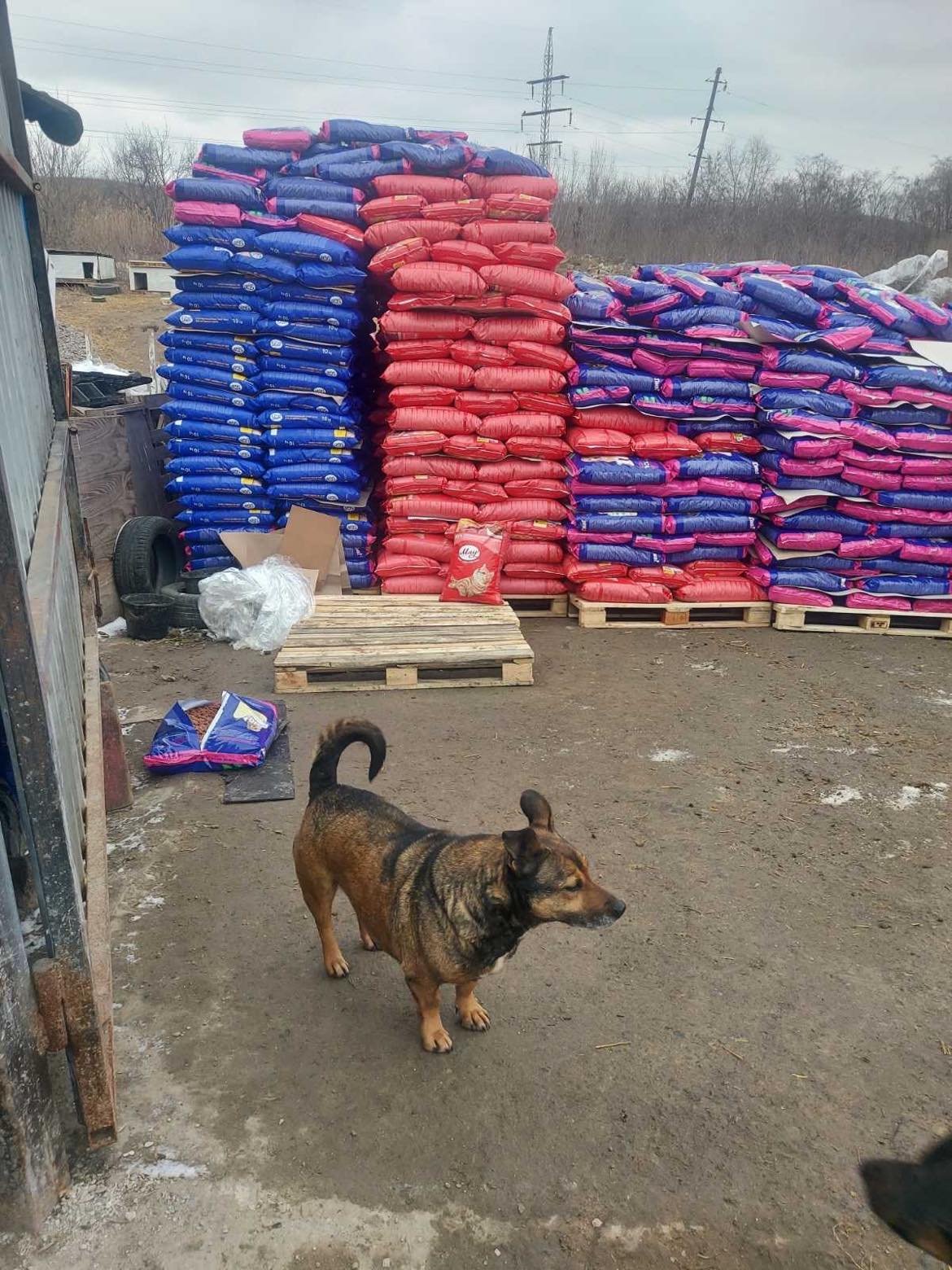 275819670_5602519989775520_6175823800343744910_n