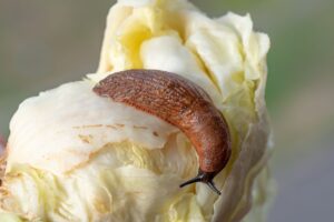 278668936_316506270588846_132306635909659723_n